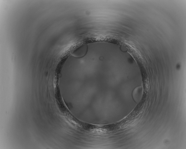 X0000095550691200712211410