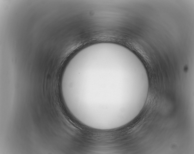 X0000095550692200712211410