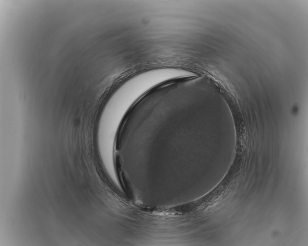 X0000095550693200712211410