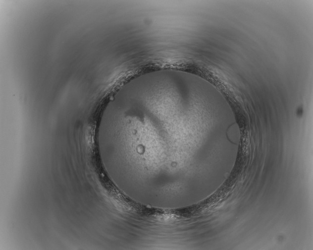 X0000095550695200712211410