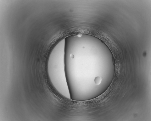 X0000095550696200712211410