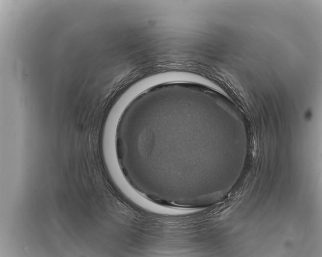 X0000095550697200712211410