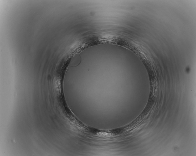 X0000095550699200712211410