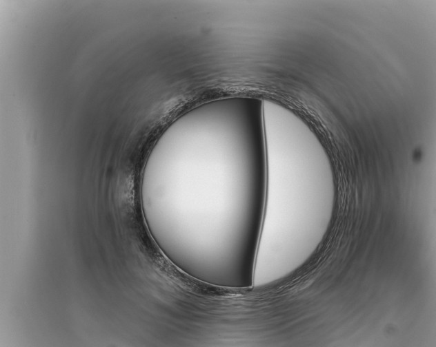 X0000095550700200712211410