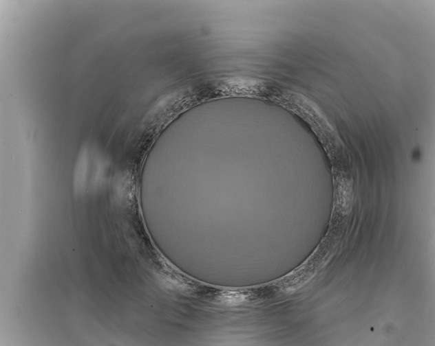 X0000095550701200712211410