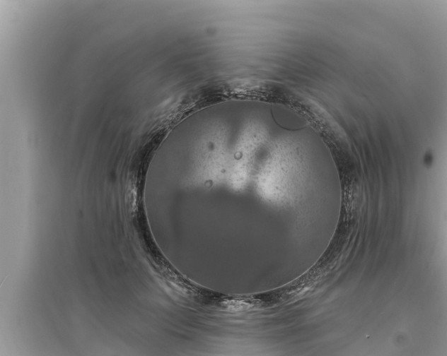 X0000095550703200712211410