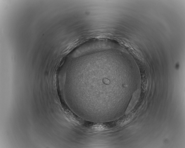 X0000095550704200712211410