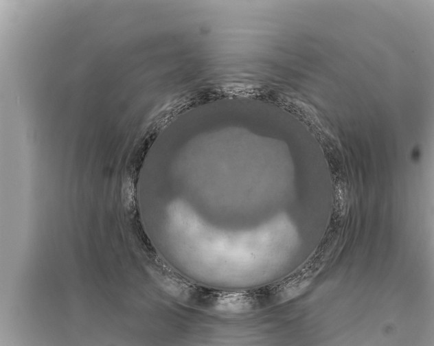 X0000095550705200712211410