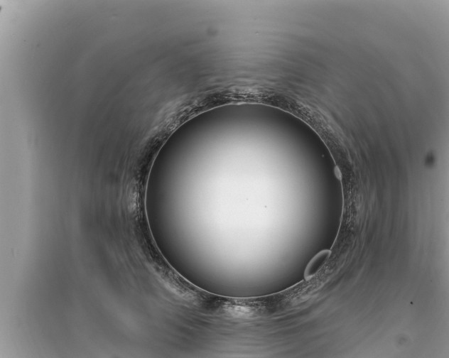 X0000095550706200712211410