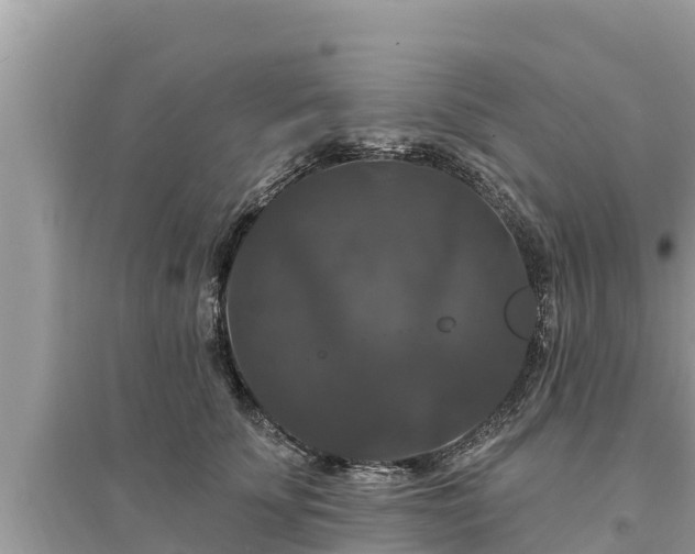 X0000095550707200712211409