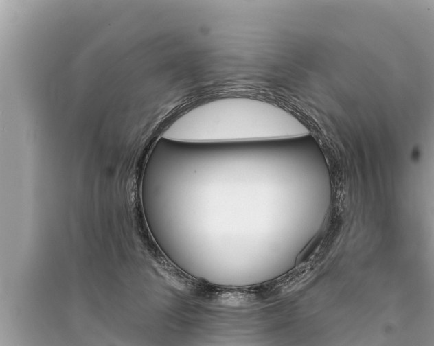 X0000095550708200712211409