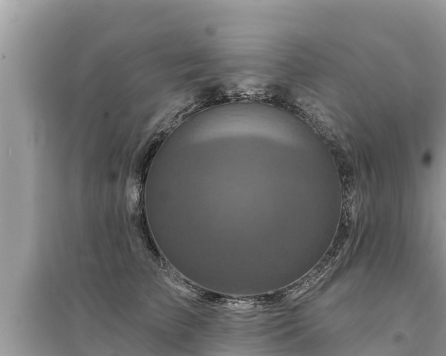 X0000095550709200712211409