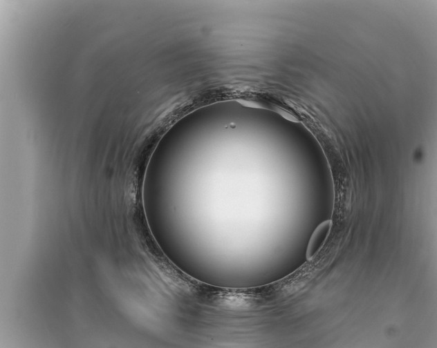 X0000095550710200712211409