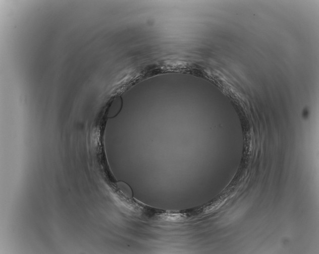 X0000095550711200712211409