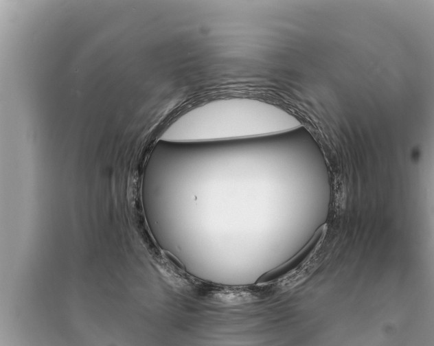 X0000095550712200712211409