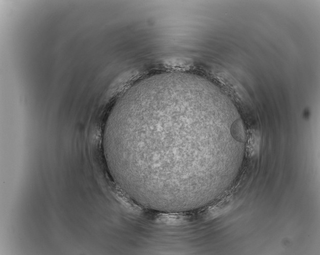 X0000095550713200712211409