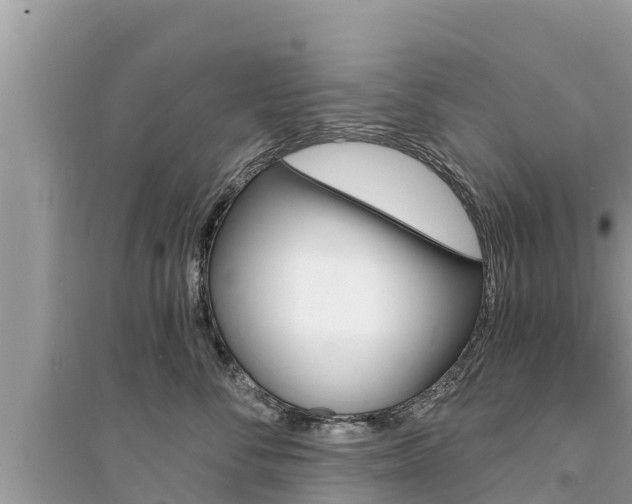 X0000095550716200712211409