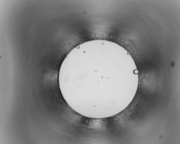 X0000095550717200712211409