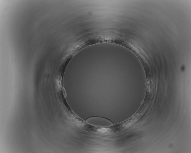 X0000095550718200712211409