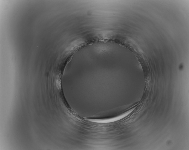 X0000095550719200712211409