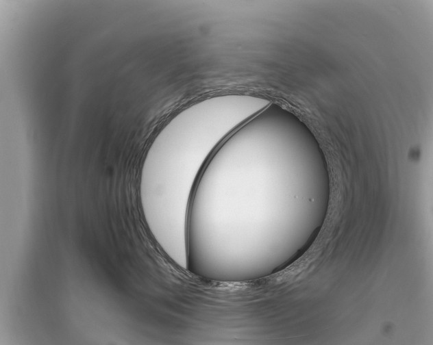 X0000095550720200712211409