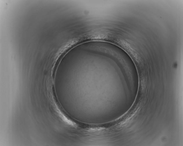 X0000095550721200712211409