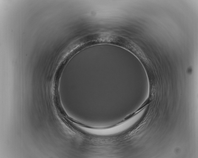 X0000095550722200712211409