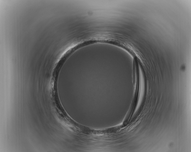 X0000095550723200712211409