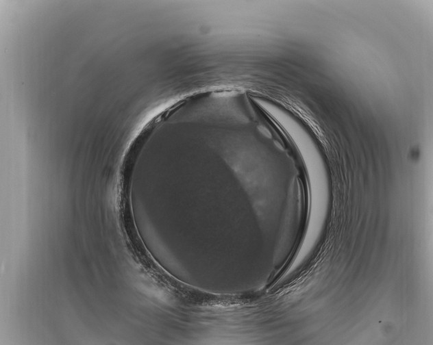 X0000095550724200712211409