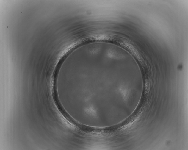 X0000095550725200712211409