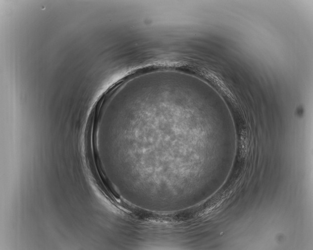 X0000095550726200712211409