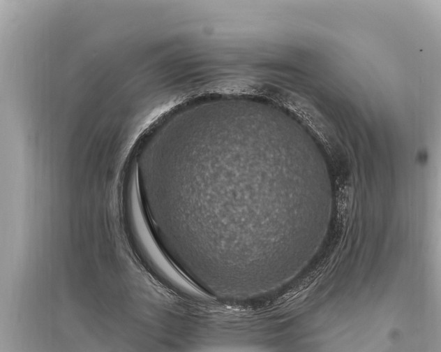 X0000095550727200712211409