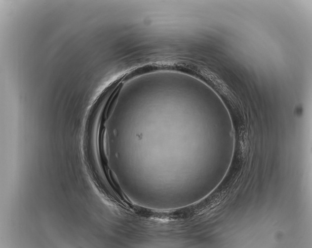 X0000095550728200712211409