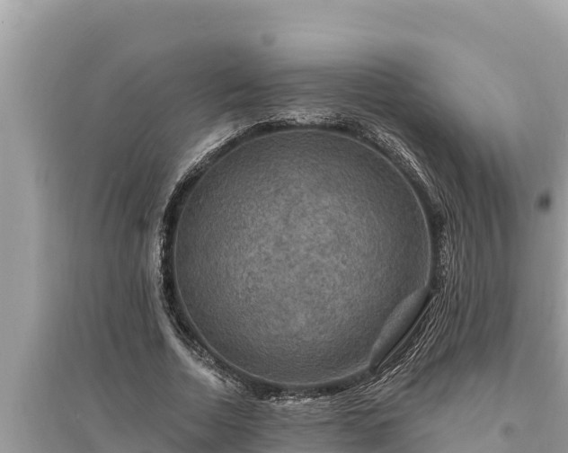 X0000095550730200712211409