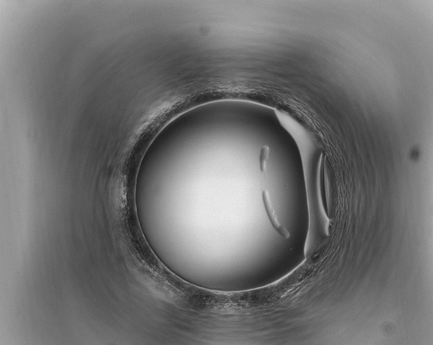 X0000095550731200712211409