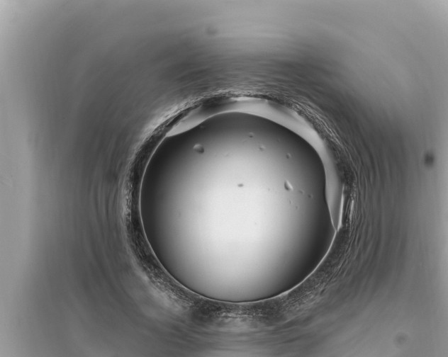 X0000095550732200712211409