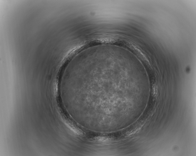 X0000095550733200712211409