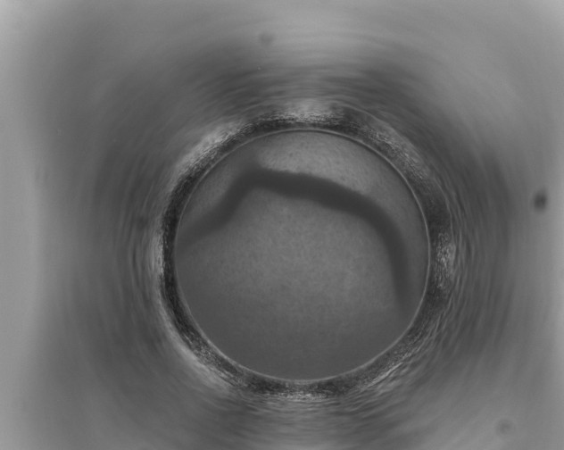 X0000095550734200712211409