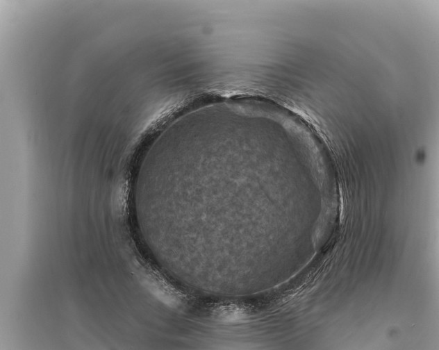 X0000095550735200712211409