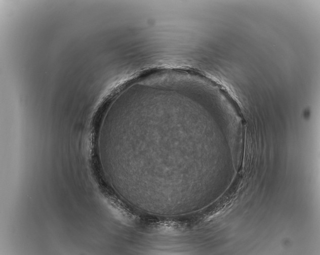 X0000095550736200712211409