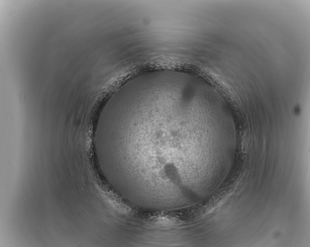 X0000095550737200712211409