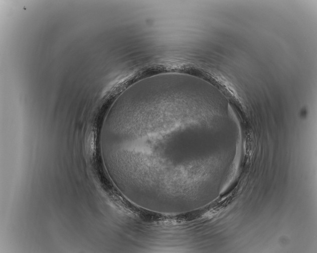 X0000095550740200712211409