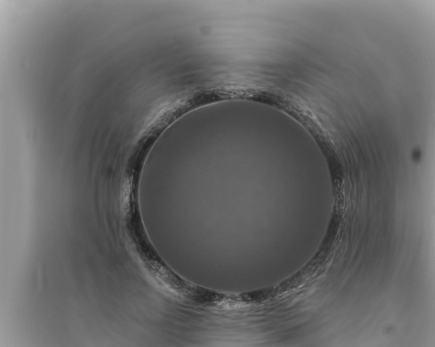 X0000095550742200712211409