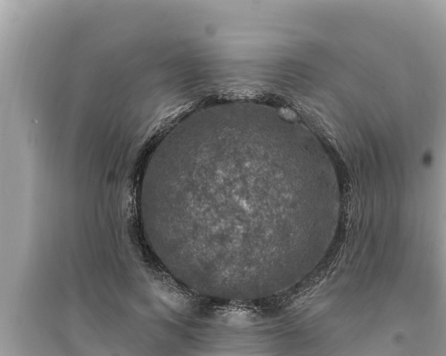 X0000095550743200712211409