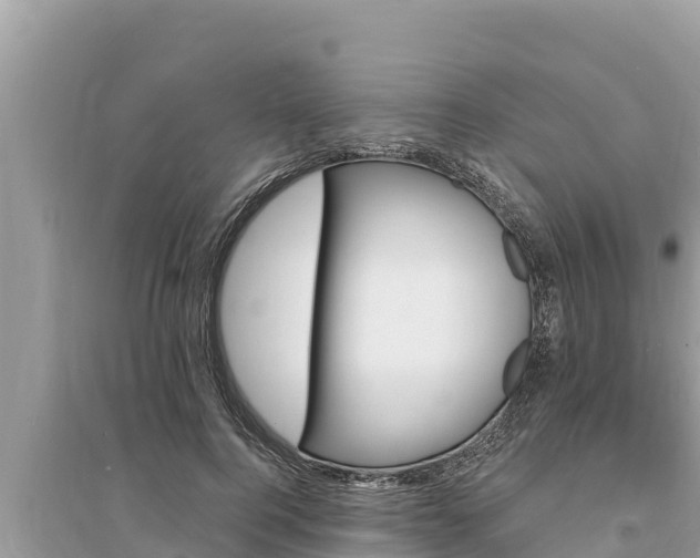 X0000095550744200712211409