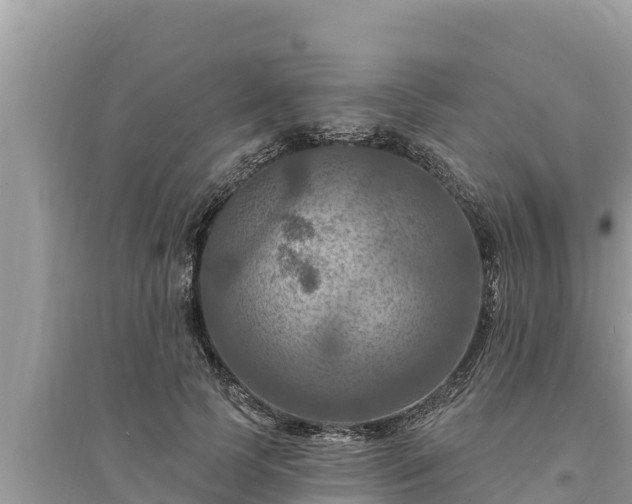 X0000095550745200712211409