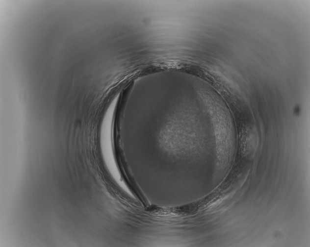 X0000095550747200712211409