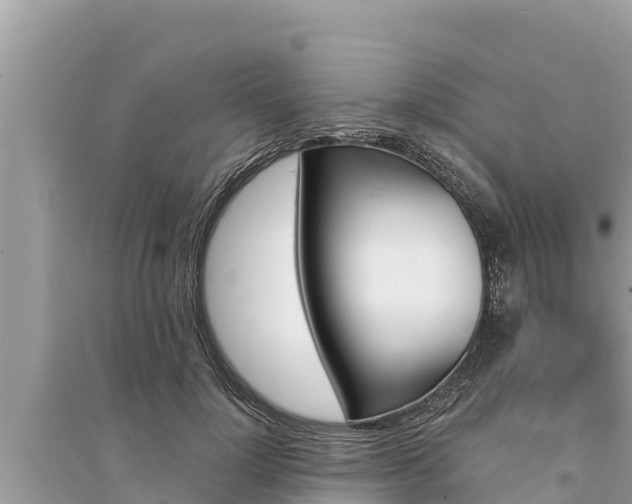 X0000095550748200712211409