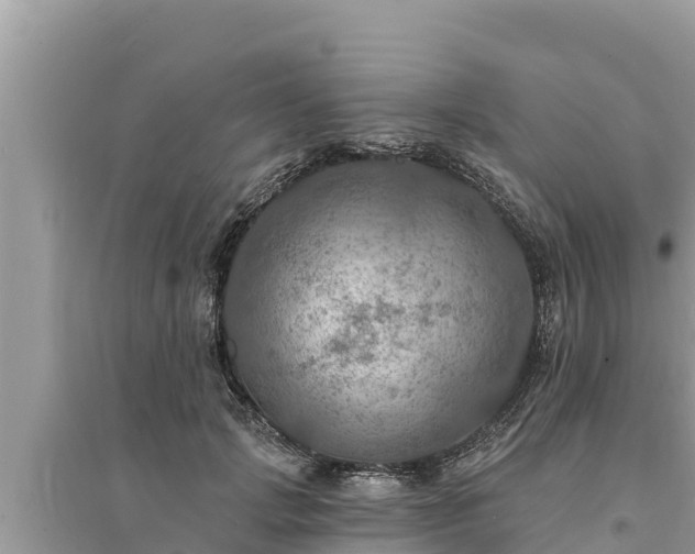 X0000095550749200712211409