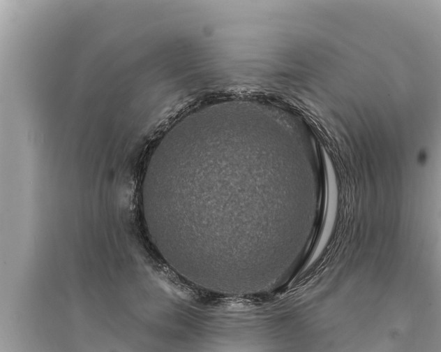 X0000095550750200712211409